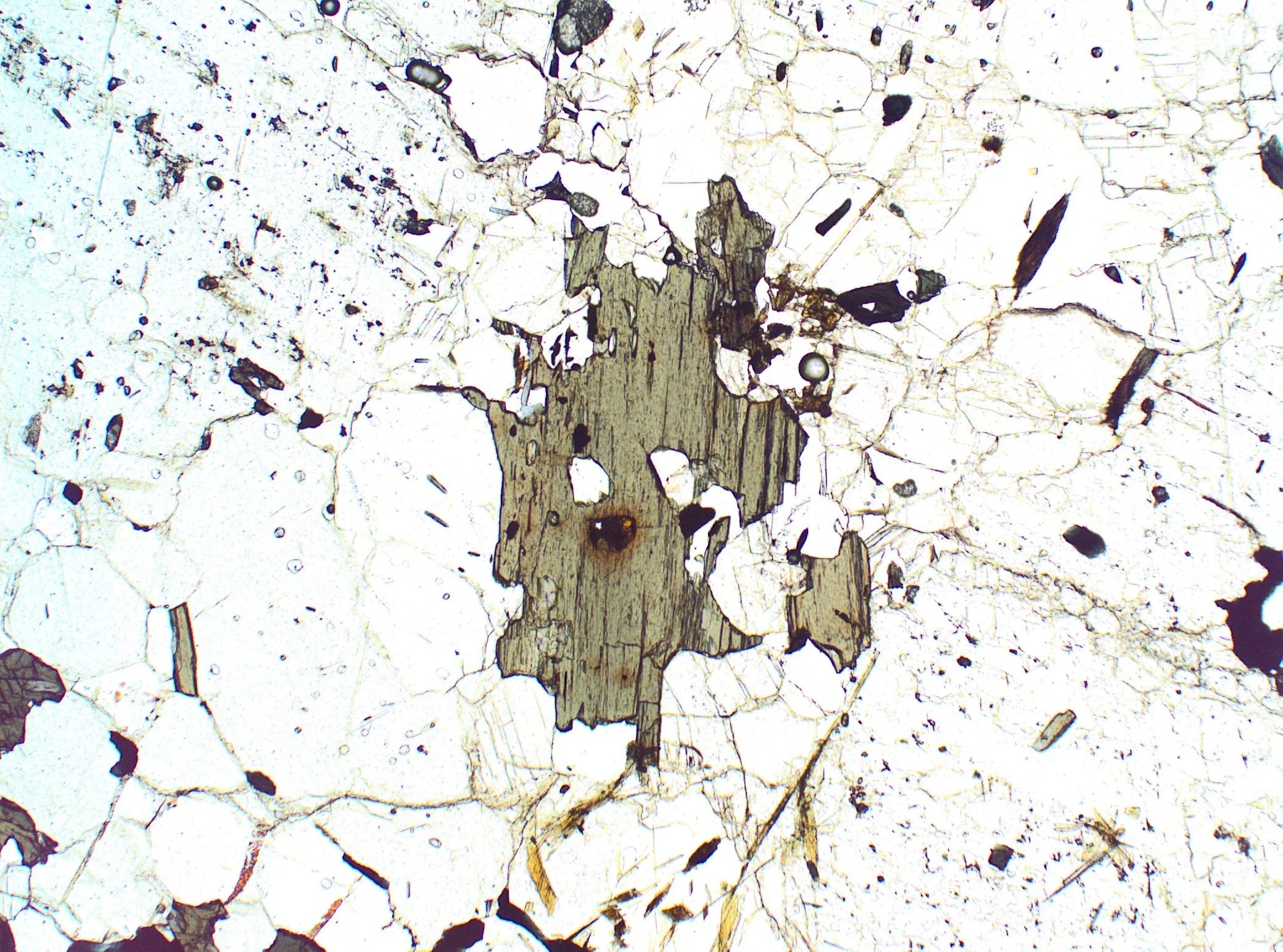 Petrographic thin-section in plane-polarized light (TS_WT5-6); altered basalt fabric